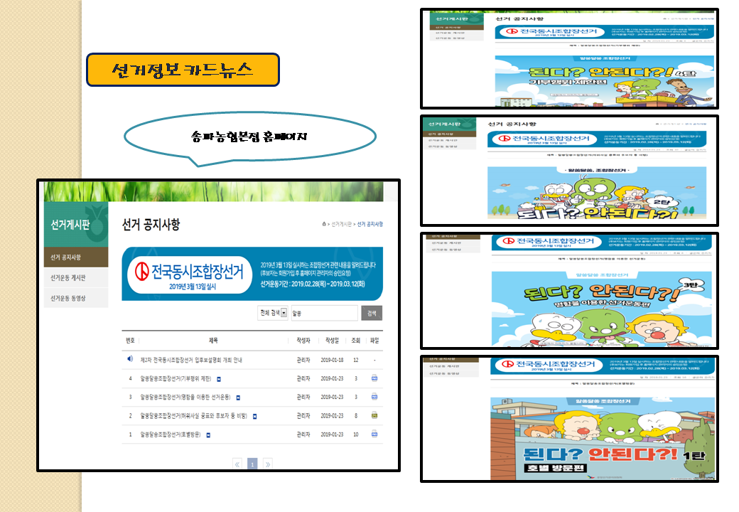 선거정보 카드뉴스 송파농협본점 홈페이지