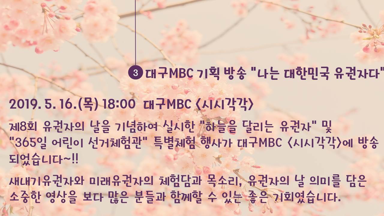 대구 MBC 기획방송 