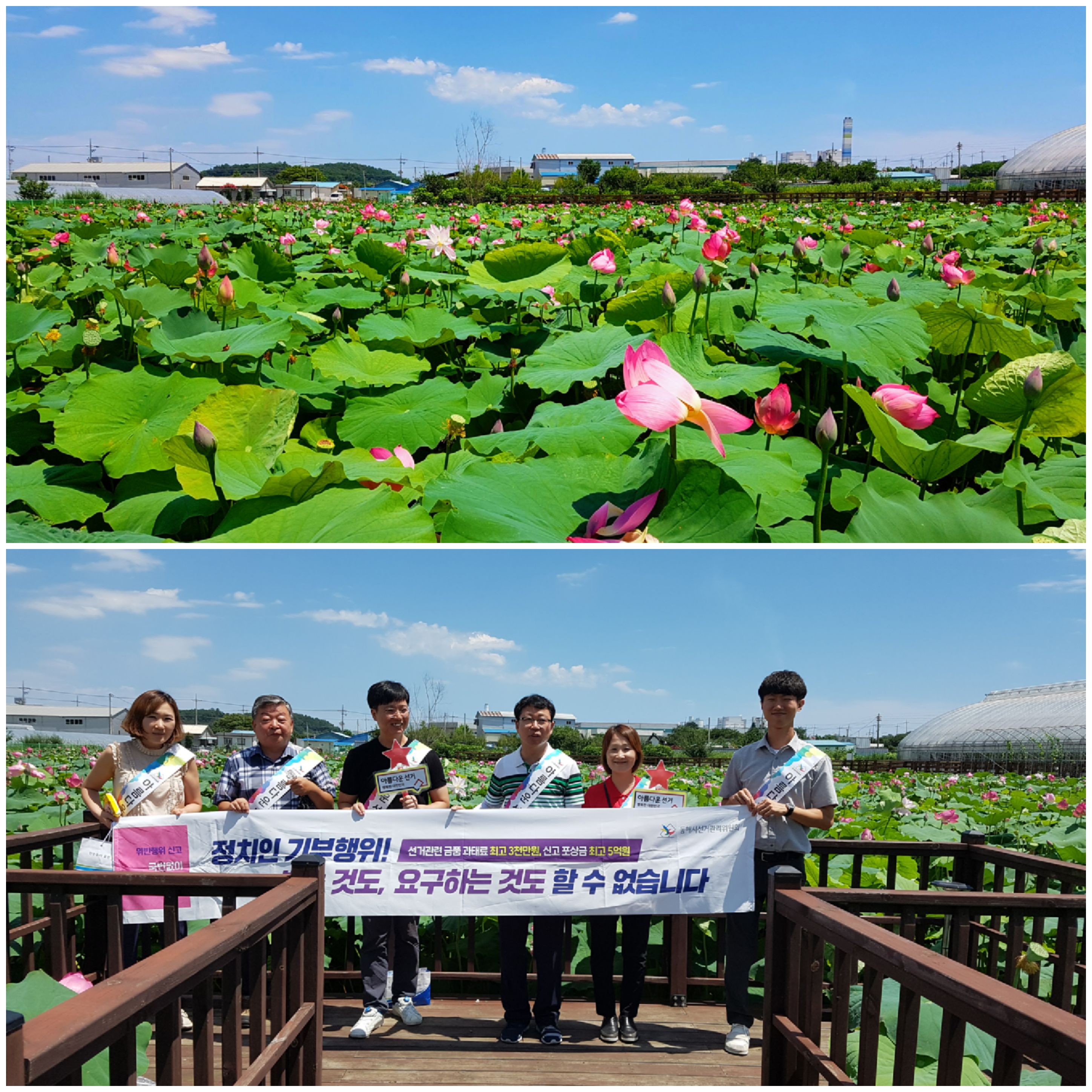 봉정마을 연꽃사진, 홍보현수막을 든 직원들