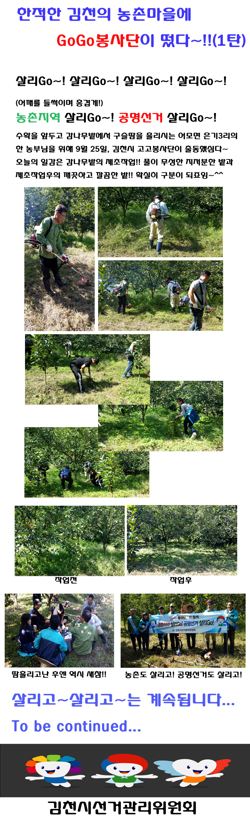 9월 25일 고고봉사단이 김천시 어모면 한 농가의 감나무밭에서 풀베기 봉사를 한 사진입니다