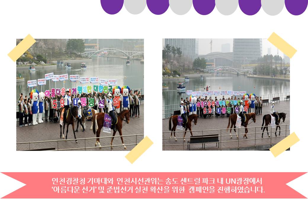 인천시선관위와 기마경찰대의 공동캠페인 현장(퍼레이드장면1,2)
