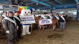 함안군선거관리위원회에서 2019. 2. 23.(토) 09:00 ~ 11:00 우시장이 진행 중인 함안축협가축시장에서 축협의 상징인 '소'를 이용한 공명선거 캠페인을 실시했습니다.